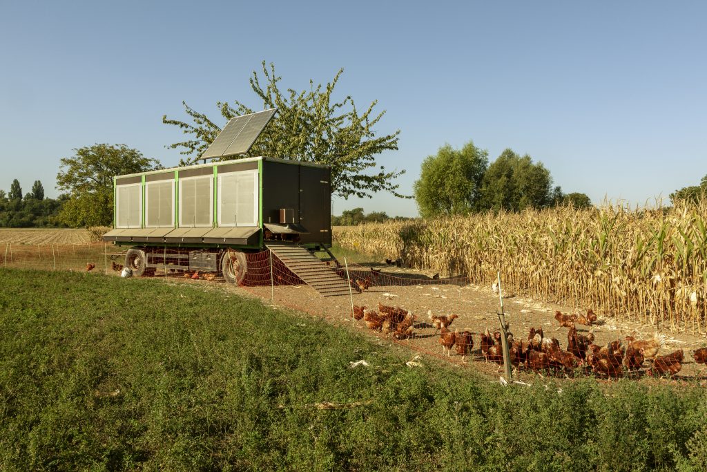 Portable Coops