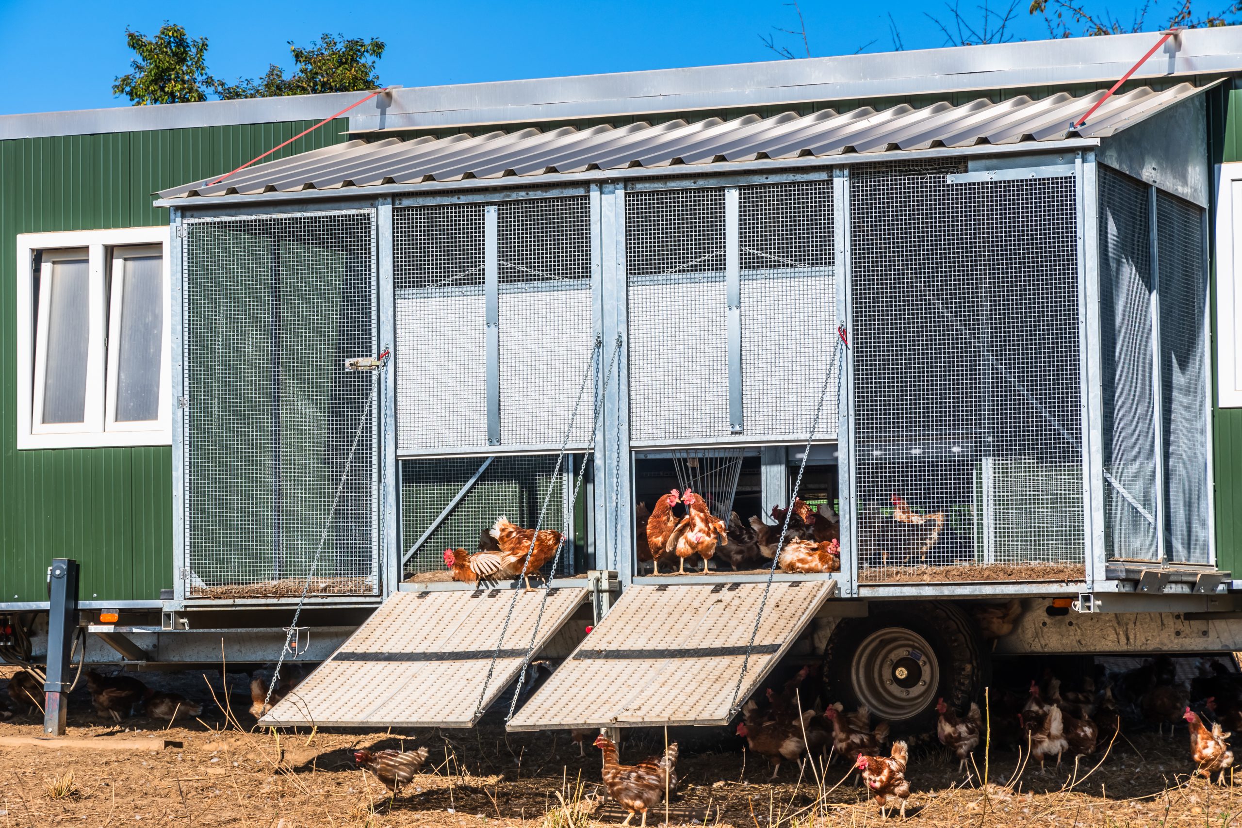 mobile poultry housing solutions