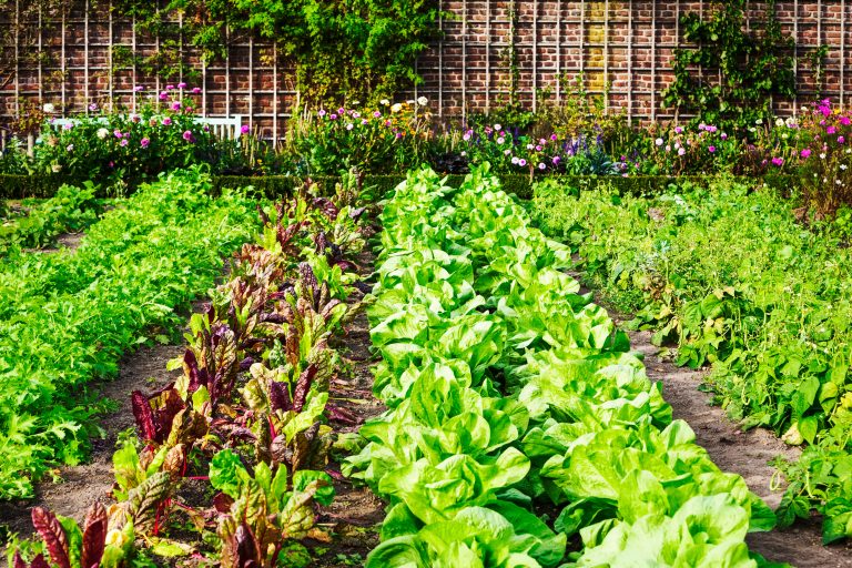 7 Secrets to a Profitable Market Gardening Venture