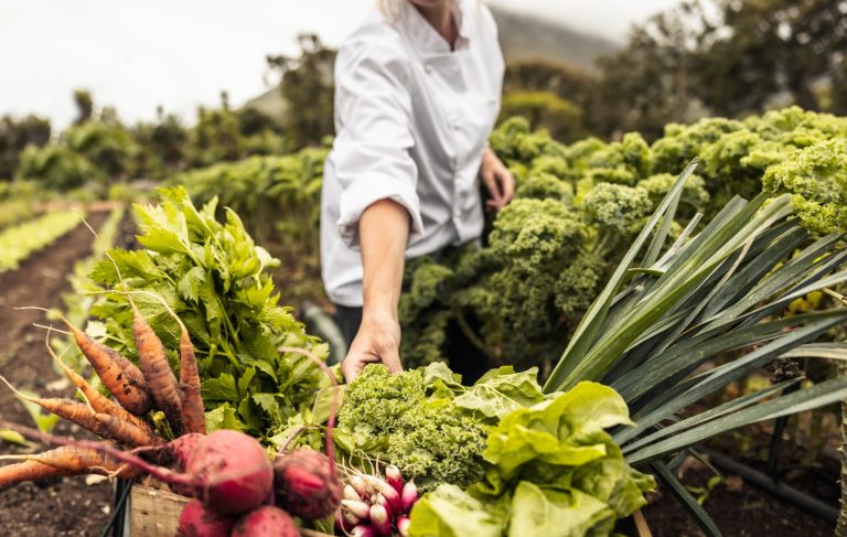 4 Essential Rules for Successful Organic Farming