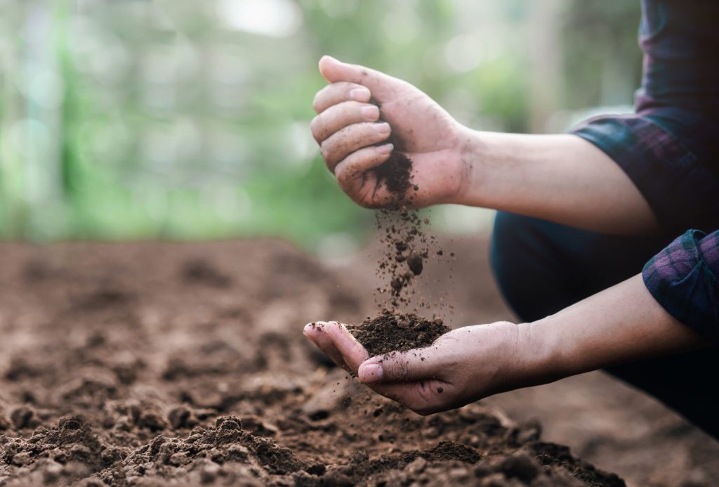 Farmer holding soil in hands close-up. Farmers' experts check soil conditions before planting seeds or seedlings. Business idea or ecology environmental concept