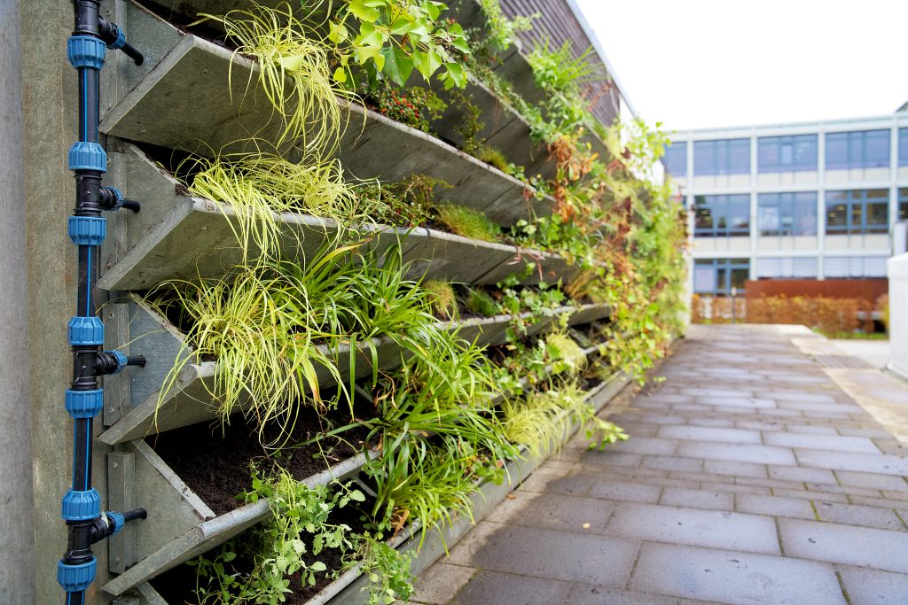 Green wall garden for vertical urban greening