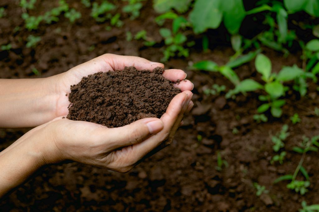 sustainable organic farming techniques