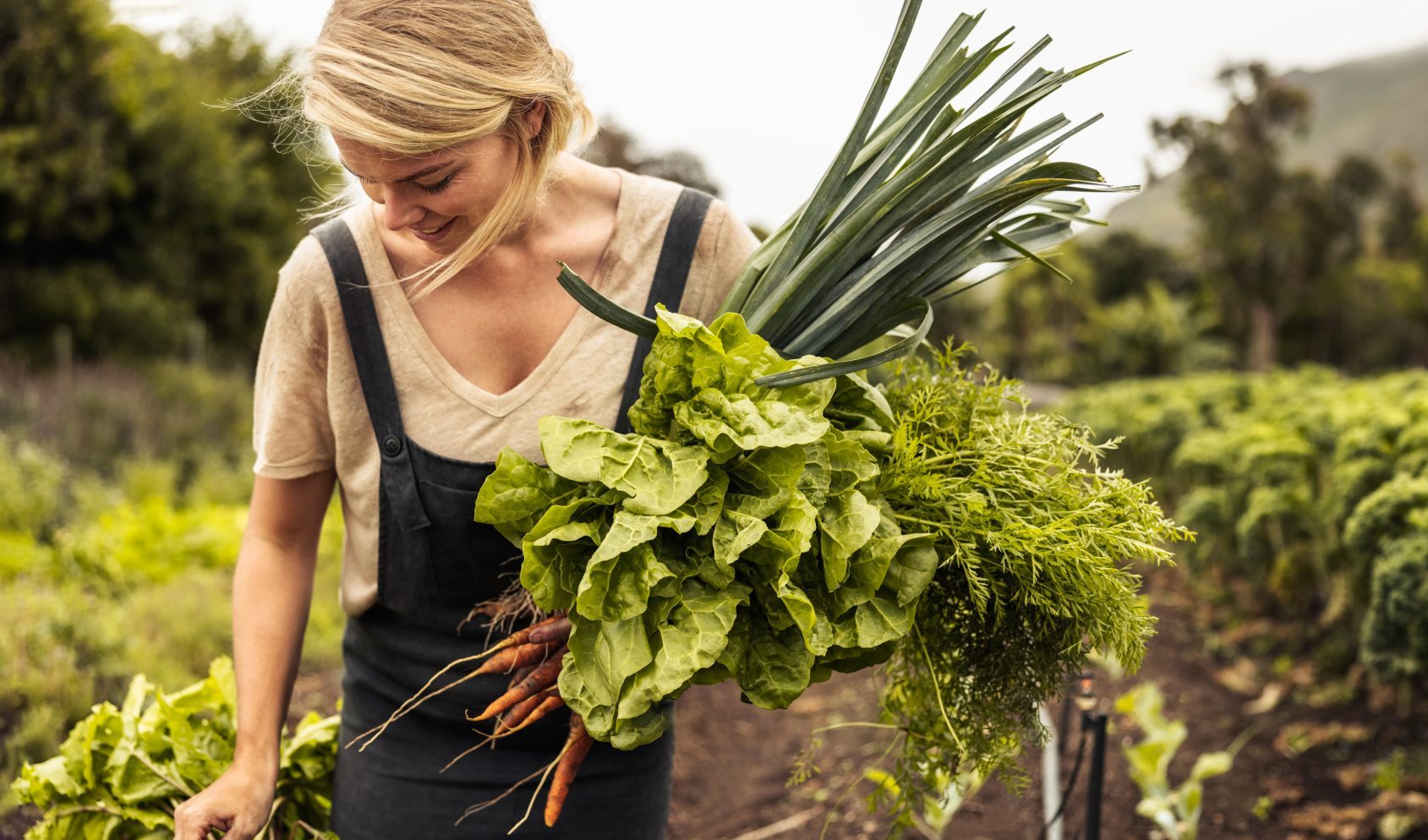 Happy organic farmer holding freshly picked vegetables in an agricultural field. Self-sustainable young woman gathering fresh green produce in her garden during harvest season.