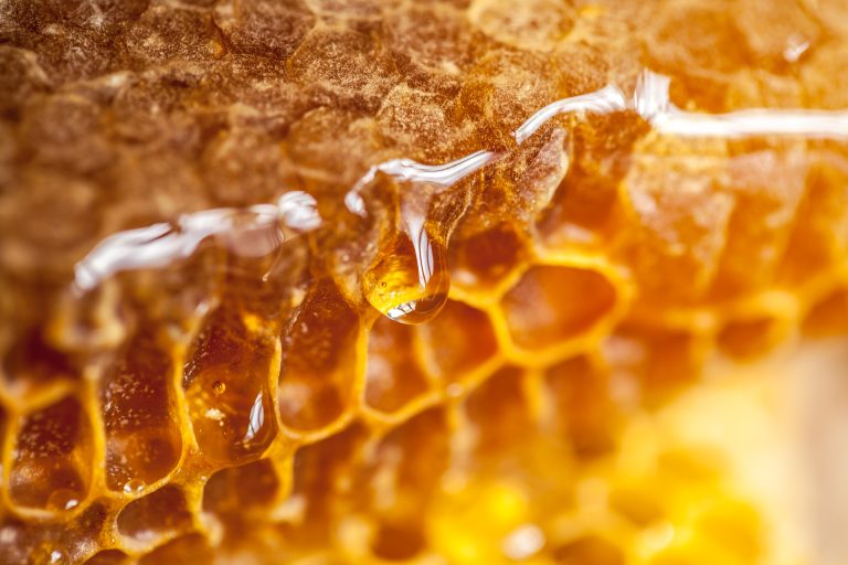 5 Secrets to Boosting Your Bees’ Honey Production
