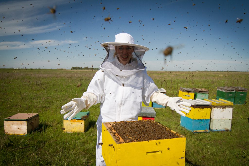 Horizontal photo of a beekeeper in white protection suit standing behind a beehive with arms wide open