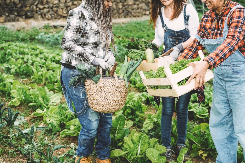 Organic Farming