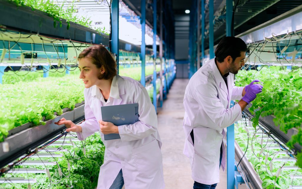 Smart farm with technology, People with indoor farm factory, Researchers developing vegetable varieties at greenhouse agriculture