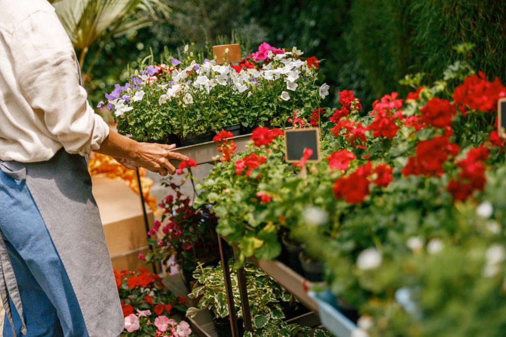 Woman professional gardener take care of houseplants in floral store. High quality photo