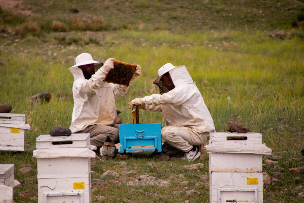 9 Essential Steps to Start Beekeeping: A Beginner's Guide 2 Beekeepers in protective clothes