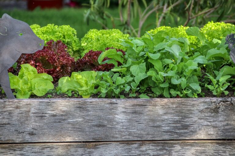7 Intensive Planting Methods That Maximize Yield in Small Spaces