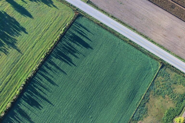 7 Drone Usage Plans for Seasonal Tasks That Maximize Year-Round Efficiency