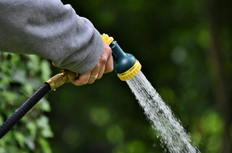 7 Soil Moisture Retention Techniques That Reduce Watering By 40%