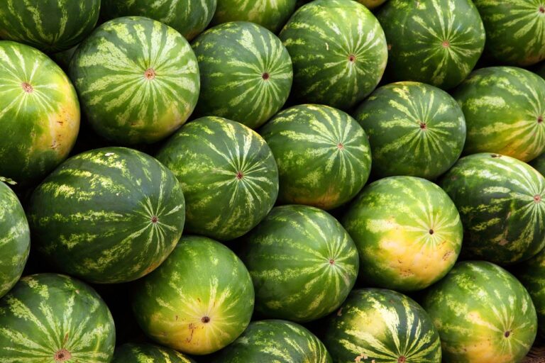 7 Creative Packaging Ideas for Farmers Market Products That Boost Sustainability