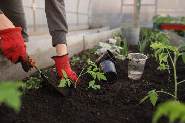 7 Companion Planting Benefits for Diverse Crops That Farmers Swear By