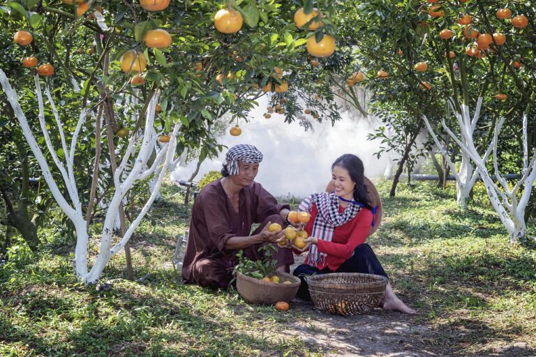 7 Tips for Choosing the Right Fruit Trees for Small Yards That Maximize Harvest