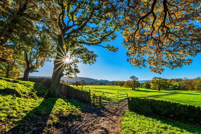 7 Ways to Maintain Financial Records for Hobby Farms That Ensure Tax Success