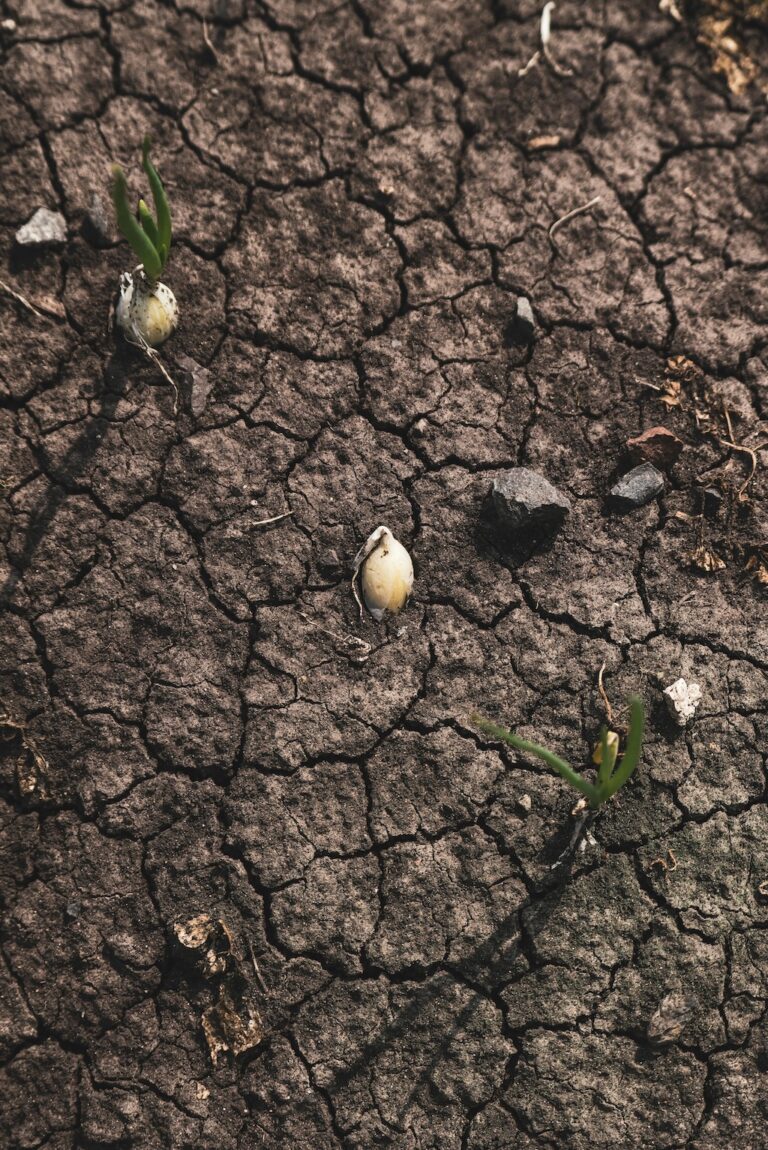 7 Benefits of Crop Diversity in Small-Scale Farming That Build Resilience