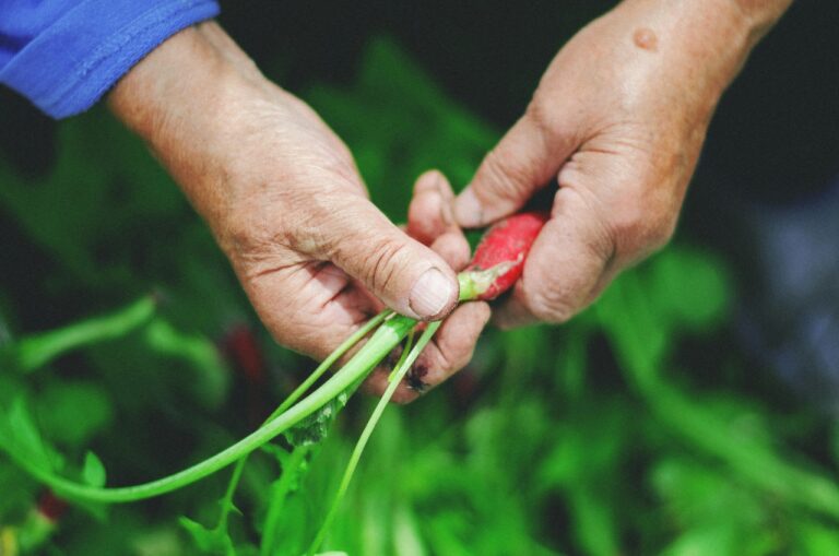 9 Regenerative Farming Methods That Old-Timers Swear By