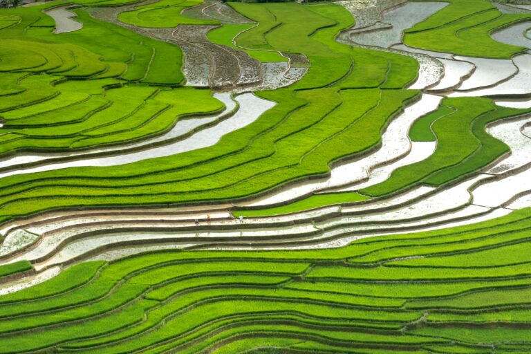 7 Aerial Photography Ideas for Farm Promotion That Capture Seasonal Beauty