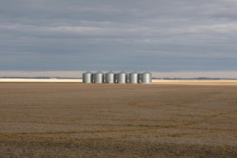 7 Creative Grain Storage Ideas That Maximize Limited Space