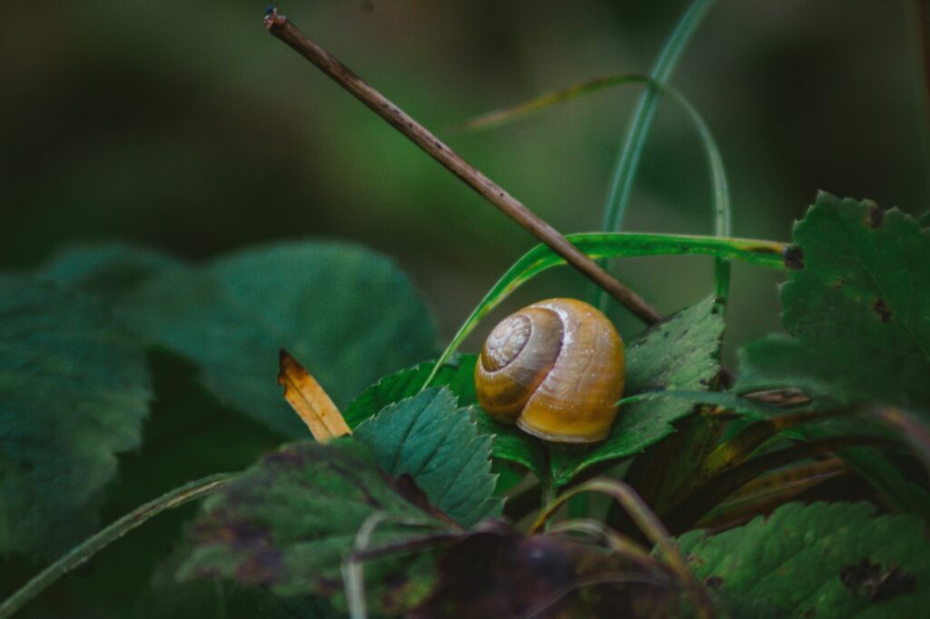 pexels photo 31128971