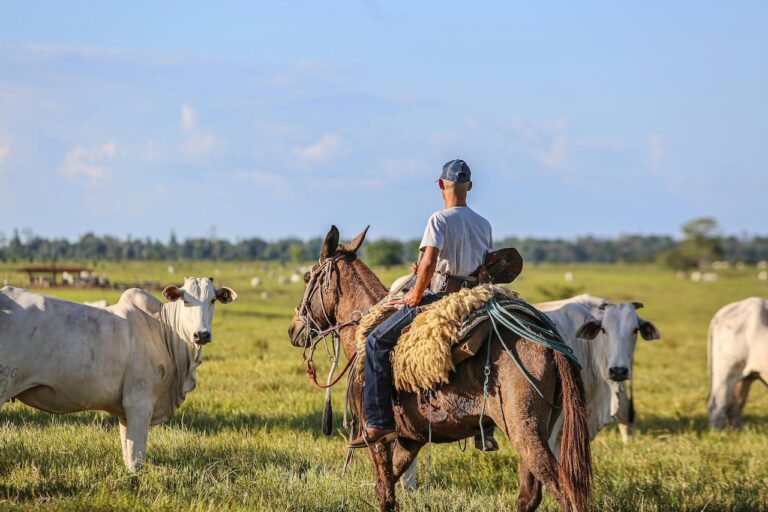 9 Alternative Pasture Management Techniques Old-Time Farmers Swear By