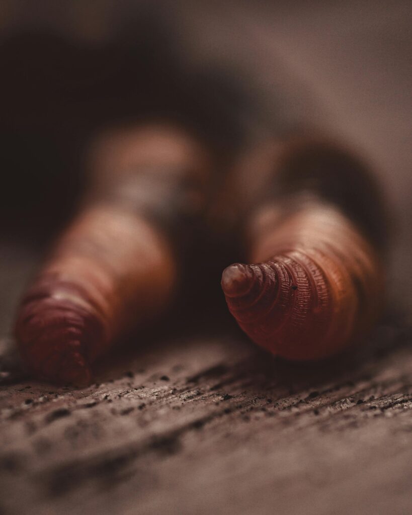 pexels photo 4205891