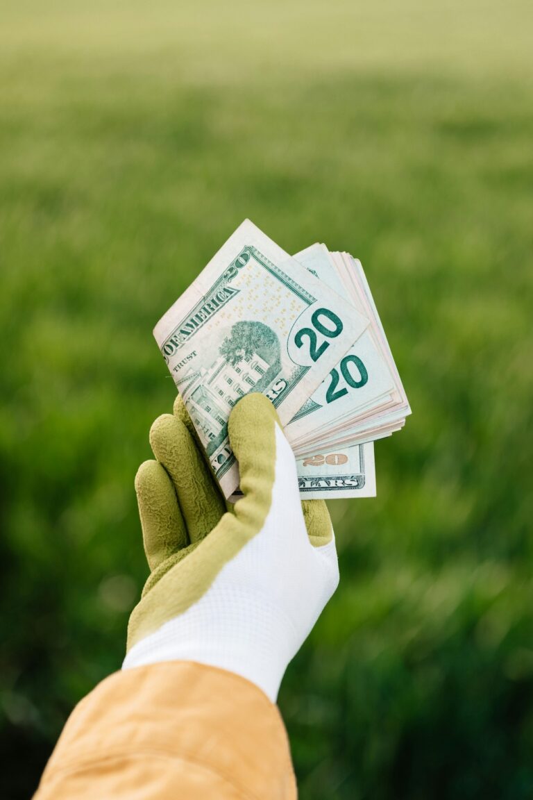 7 Benefits of Regular Financial Reviews for Small Farms That Ensure Survival