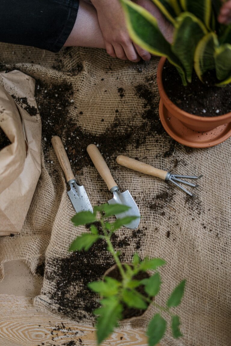 12 Best Soil Testing Kits for Accurate Analysis That Every Gardener Needs