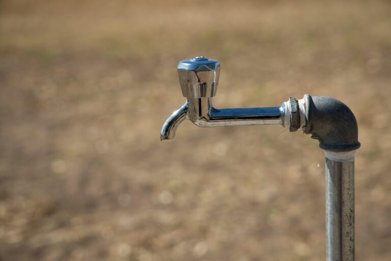 10 Best Pipe Fittings for Custom Irrigation Setups That Prevent Common Issues