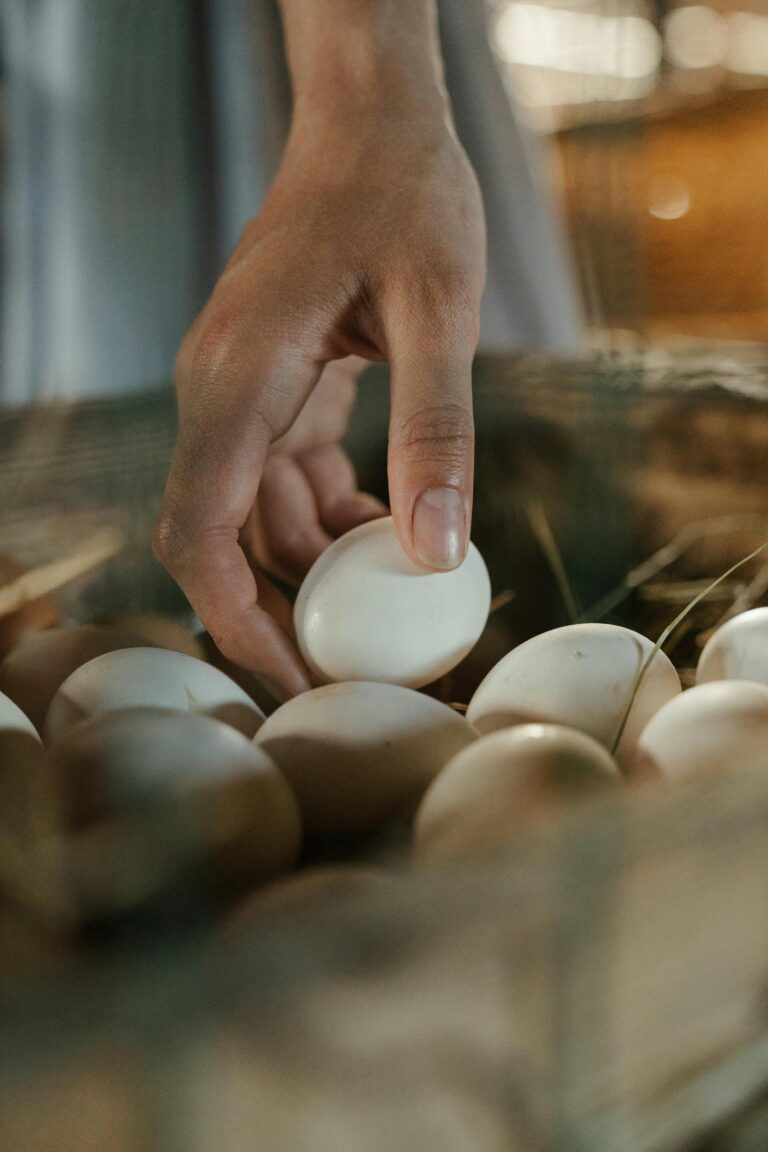 7 Ways of Using Social Media to Promote Egg Sales That Build Loyal Customers