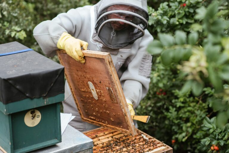 5 Best Humidity Controllers for Bee Hives That Boost Colony Health