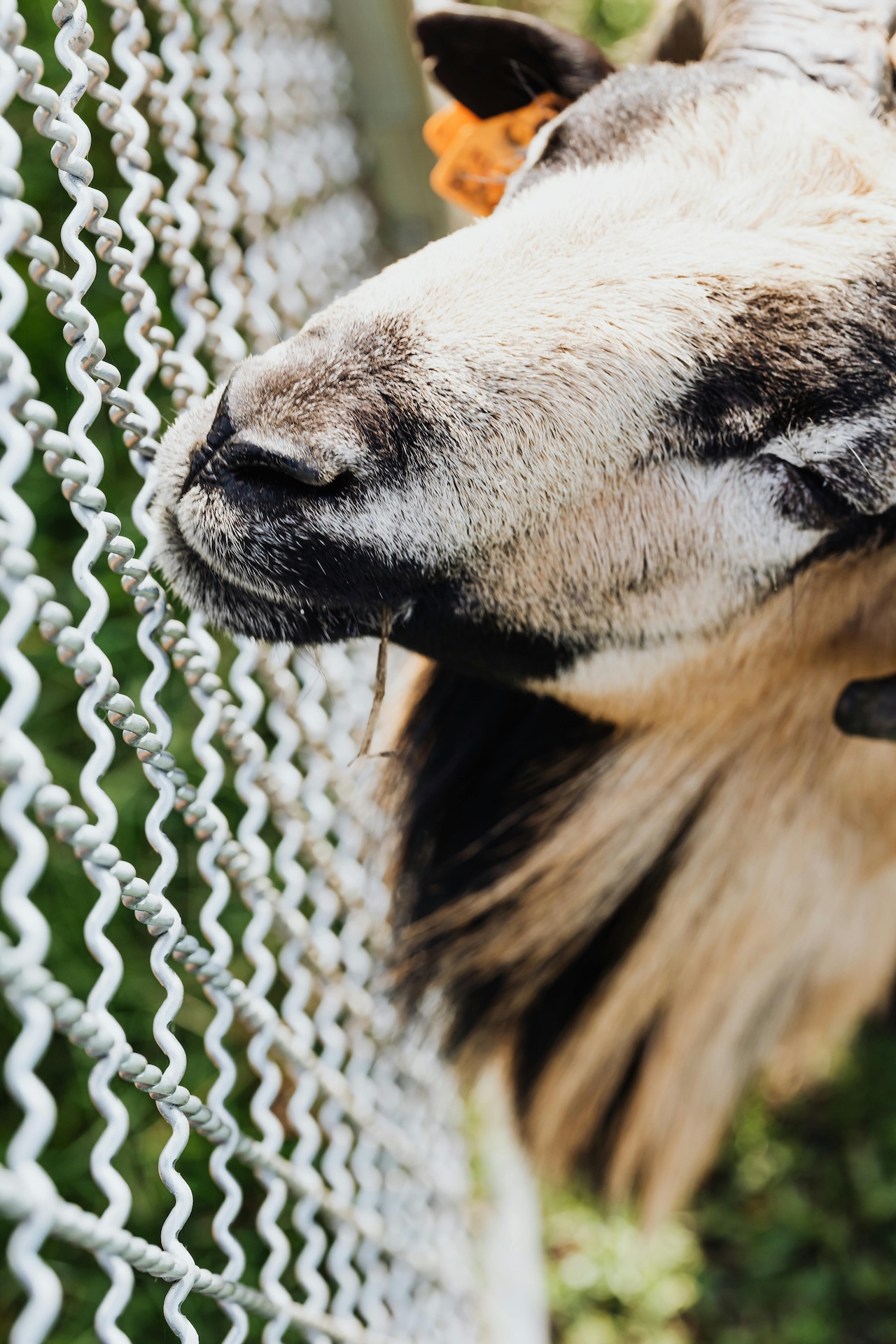 pexels photo 5840921