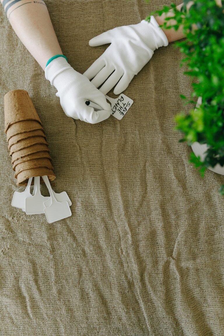 11 Seasonal Seed Saving Techniques Old-Time Gardeners Swear By