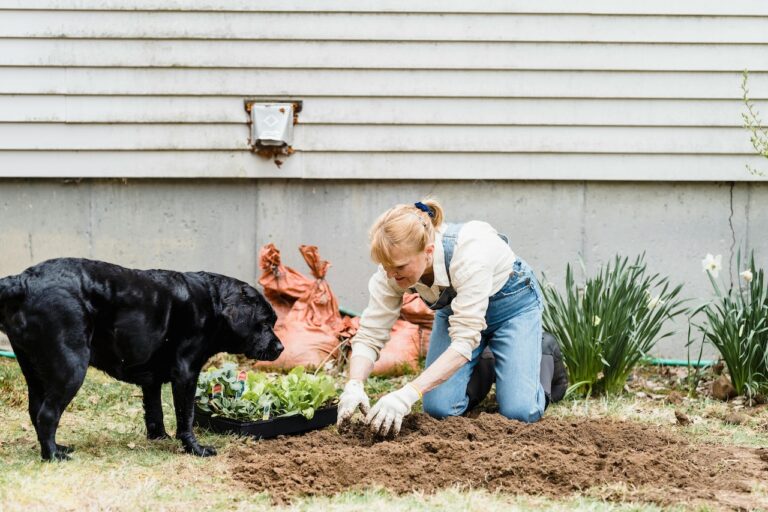 7 Intercropping Techniques That Maximize Garden Space Naturally