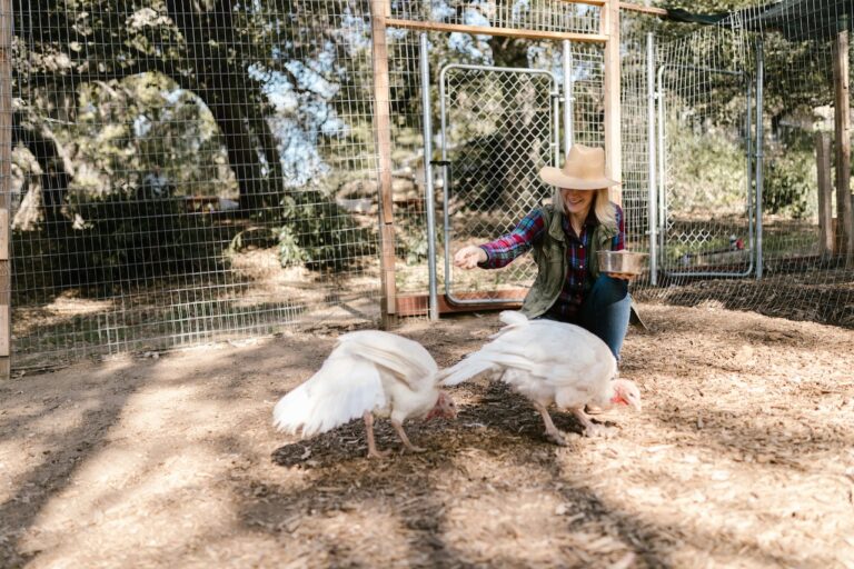 7 Ethical Livestock Sourcing Options That Support Sustainable Farming