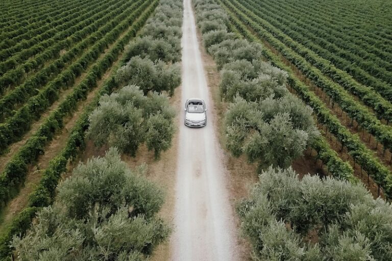 7 Ways to Document Your Farm Journey That Create a Lasting Legacy
