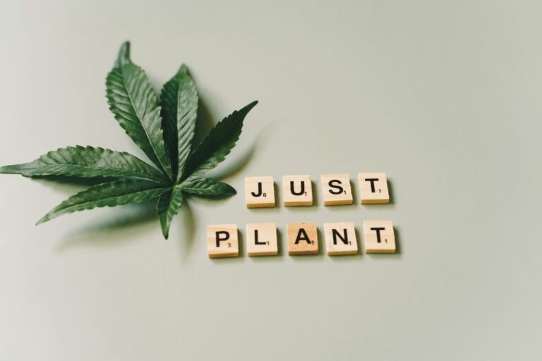 7 Ways Using Native Plants to Manage Weeds Creates a Sustainable Garden