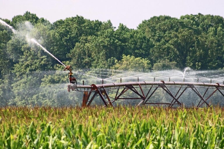 5 Best Water Testing Kits for Irrigation Quality That Prevent Crop Damage