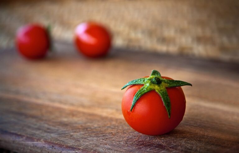 7 Tomato Harvesting Techniques to Reduce Disease Spread That Old Farmers Swear By