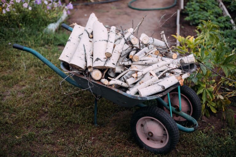 6 Best Garden Plots for Effective Irrigation That Save 80% More Water