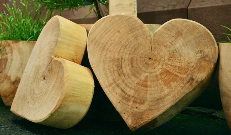 7 Best Wood Preservatives for Outdoor Projects That Last for Decades