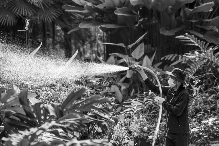 5 Best Pressure Sprayers for Applying Fertilizers That Gardeners Swear By