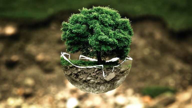 5 Best Tree Guards for Protecting Young Saplings That Prevent Common Issues
