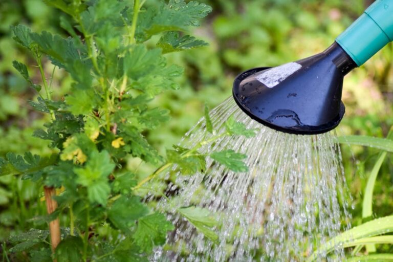 5 Best Watering Systems for Flower Beds That Slash Water Bills