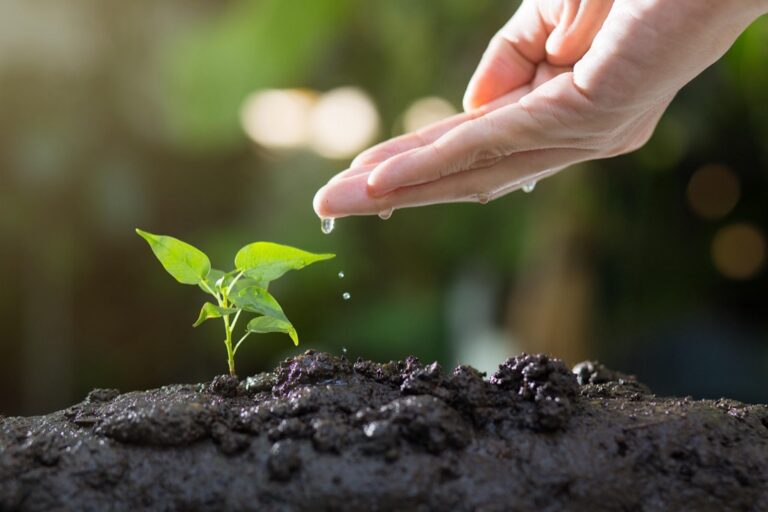 5 Best Soil Testing Apps for Mobile Gardening That Transform Your Harvest