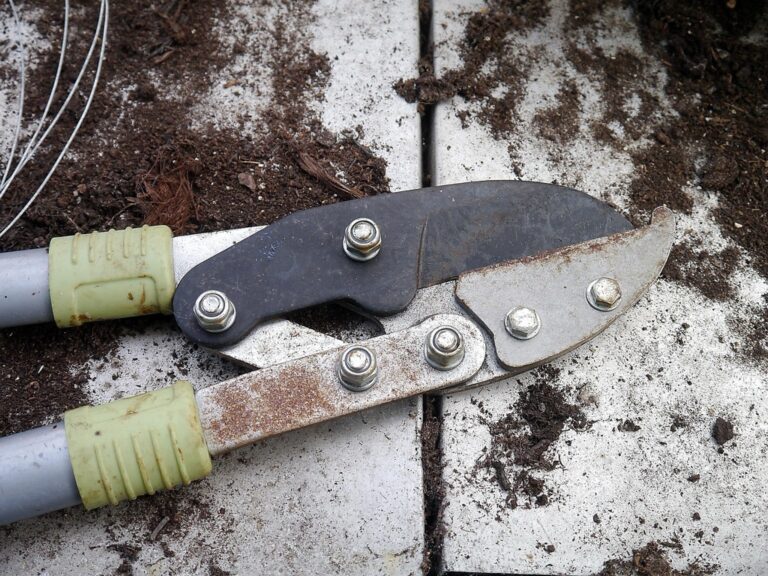 7 Best Orchard Pruning Tools for Fruit Tree Care Professionals Swear By