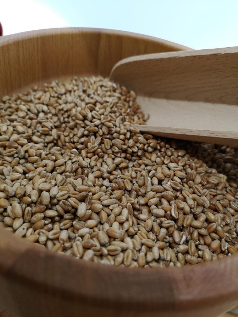 6 Best Small-Scale Milling Machines for Grain Processing That Preserve Traditions