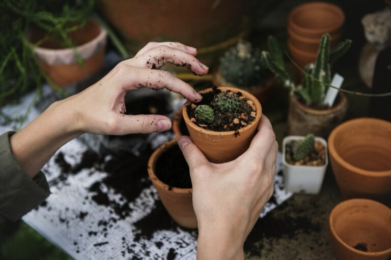 5 Best Hand Seeders for Efficient Planting That Garden Pros Swear By